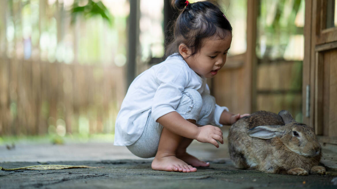 Chăm Sóc Sức Khỏe & Sinh Hoạt Hằng Ngày cho Bé Mới Biết Đi